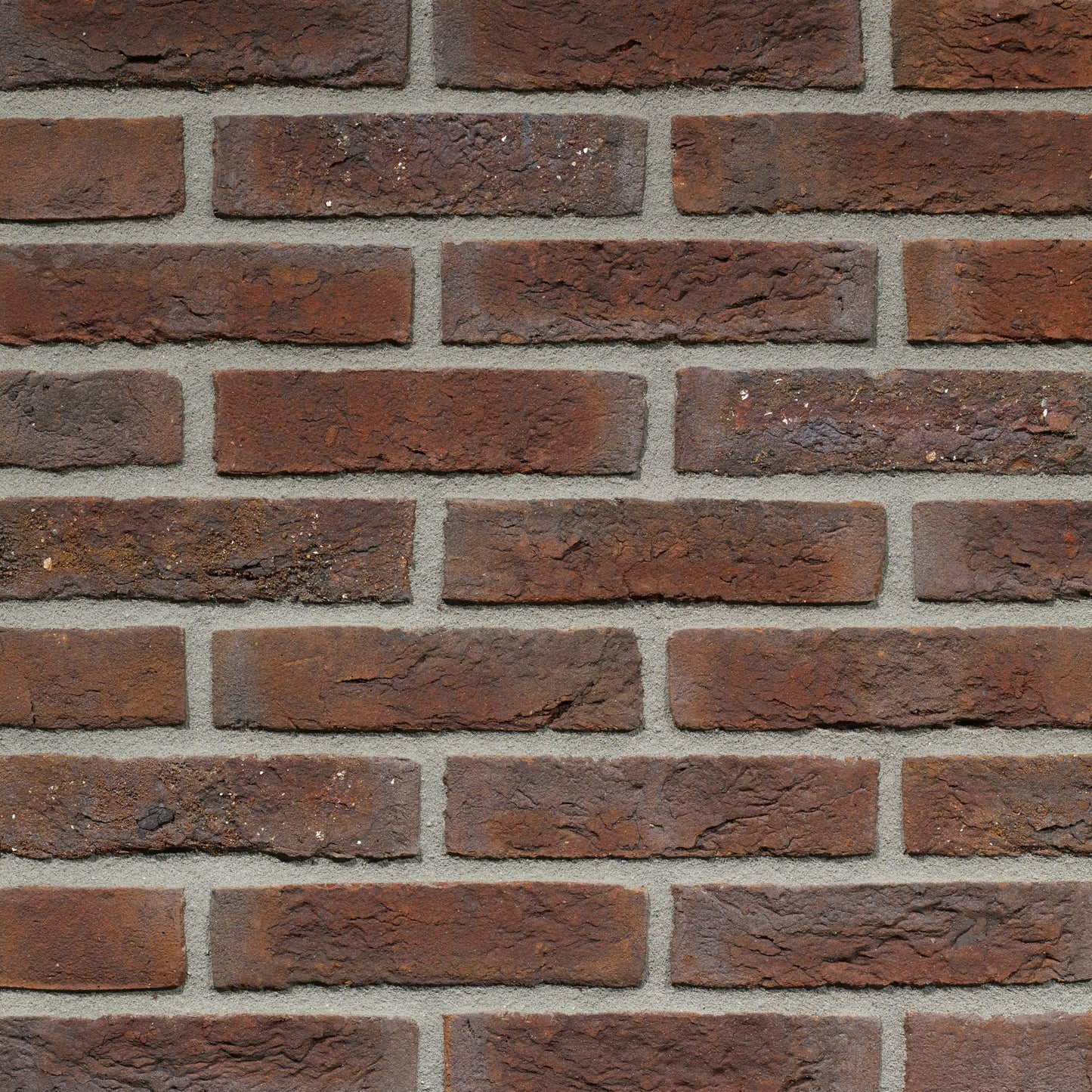 Blauwrood genuanceerd Gesinterd handvorm waalformaat