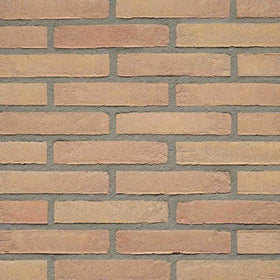 Geel Genuanceerd Vormbak vechtformaat