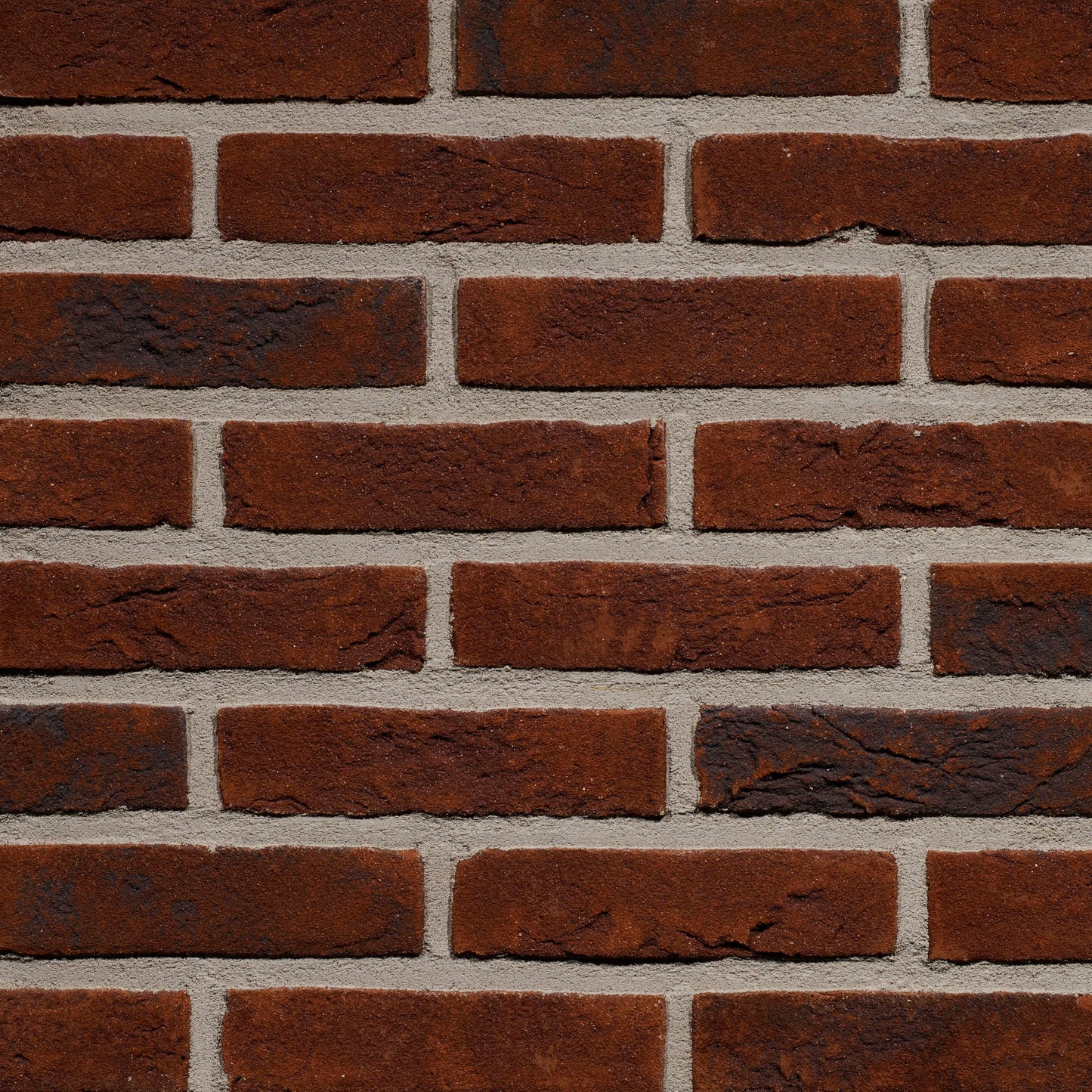 Forum Pampas HV WF215 EB65