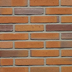 Goudsbloem wasserstrich waalformaat voorraad