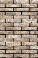 Anicius Handvorm waalformaat-1