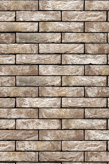 Anicius Handvorm waalformaat