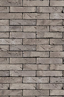 Lupus handvorm waalformaat-1