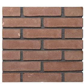 Paarse klinker speciaal vormbak waalformaat