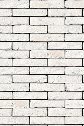 Zoolstrip Rainbow White handvorm waalformaat