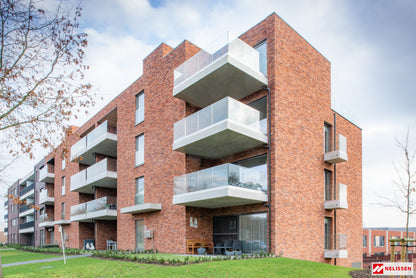 Robinia Handvorm Waalformaat
