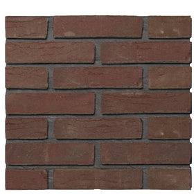 Aubergine handvorm waalformaat