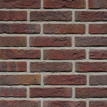 Blauwrood genuanceerd handvorm waalformaat