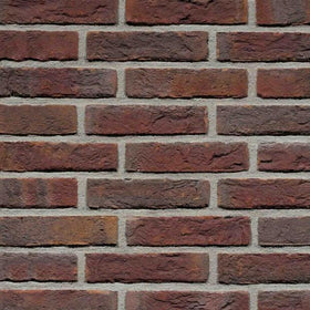 Blauwrood genuanceerd handvorm waalformaat