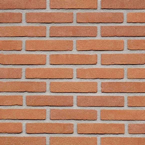 Rood Hardgrauw vormbak rijnformaat