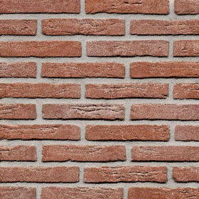 Roodgrijs plint handvorm vechtformaat