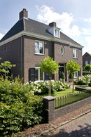 Aubergine handvorm waalformaat-2