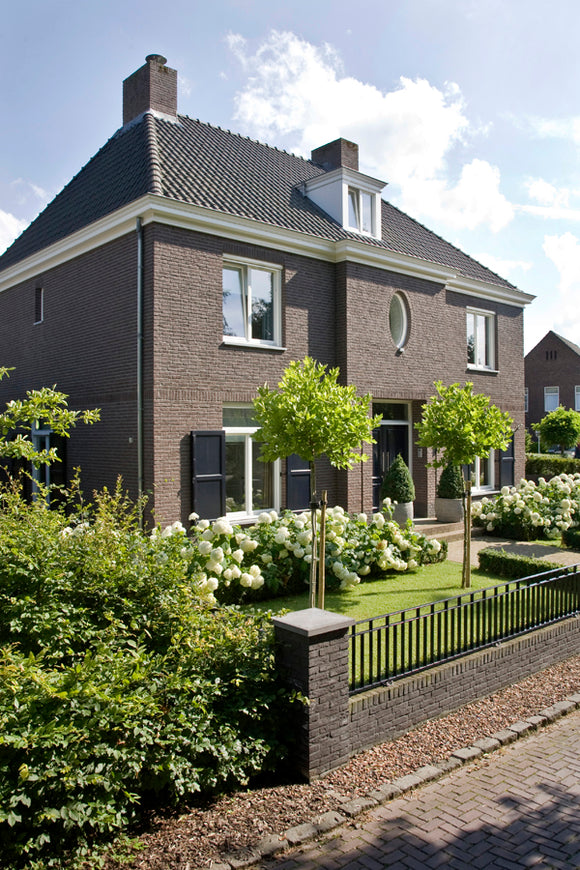 Aubergine handvorm waalformaat