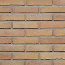 Beigerood vormbak reno-1