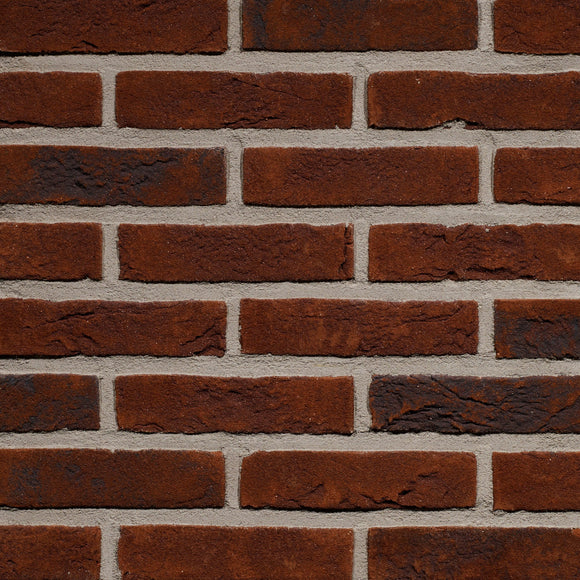 Forum Pampas HV WF215 EB65