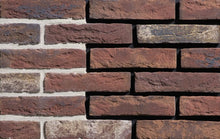 Kameleon handvorm waalformaat