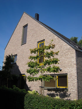 Sonnendaal handvorm waalformaat - 0